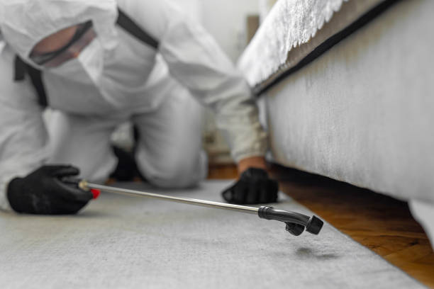 Professional Wasp Control technician working in Lake Mary Jane, FL