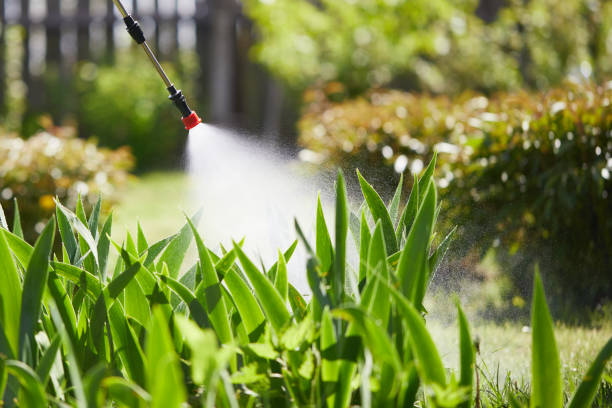 24/7 Emergency Mosquito Control experts in Lake Mary Jane, FL