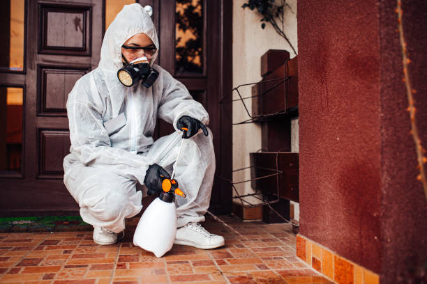 Reliable Mosquito Control contractor in Lake Mary Jane, FL by Nex Pest Control