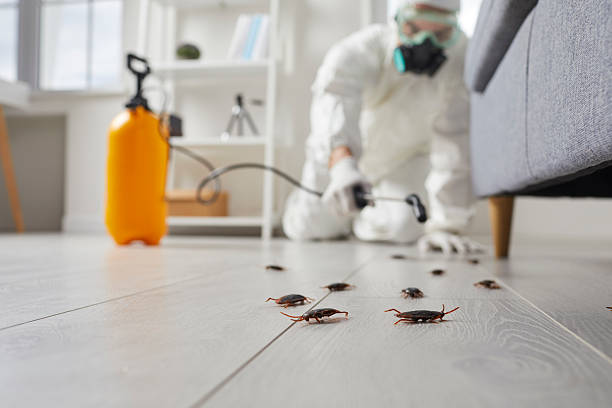 Trusted Fumigation Services service in Lake Mary Jane, FL - Nex Pest Control
