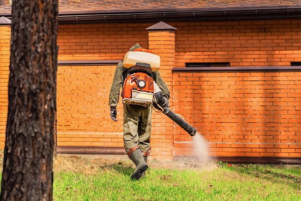 Trusted Mosquito Control service in Lake Mary Jane, FL - Nex Pest Control